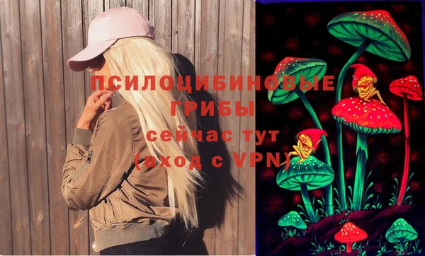 прущие грибы Армянск